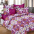 DIVINE CASA Double Cotton Printed Bed Sheet