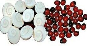 Energized Gomati Chakra 11 PCs Free 11 PCs Rakt Gunja Good For Wealth Ben -H