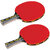Vinex TT Bat - Impulse (6 Star, 1 Pair)
