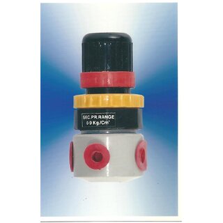 1/4 BSP MINI REGULATOR