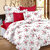 Ahmedabad Cotton Comfort Cotton Single Bedsheet