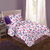 Ahmedabad Cotton Comfort Cotton Single Bedsheet