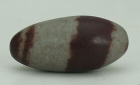 Narmada Shivling To Get The Bless Of Lord Shiva