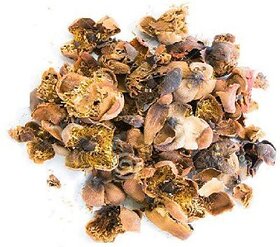 Naga Kesar nagakesara Nag kesar Mesua Ferrea 200 Gms for Pooja With Free Palash seed