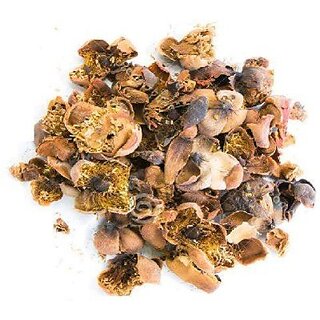 Naga Kesar nagakesara Nag kesar Mesua Ferrea 200 Gms for Pooja With Free Palash seed