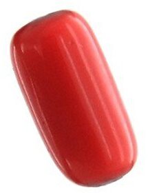 Jaipur gemstone 8.50 carat Red coral (Moonga) Natural Certified Stone.