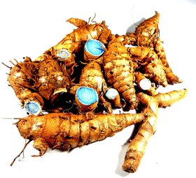 Fresh Kali Haldi Best Quality For Plantation 250Gms