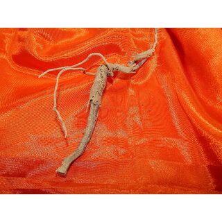 Swayambhu Swetharka Ganapathi Arka Ganapathi No Carving No Modulation Natural.