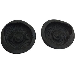 Shaligram Laxmi Narayan With Sudarshan Chakra Stone 1.5 Inchs