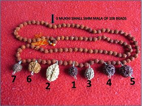 ENERGIZED Original Rare 1 2 3 4 5 6 7 Mukhi Face Rudraksha Kantha Mala Nepal Best For All Type Of Business, Jobs, Work