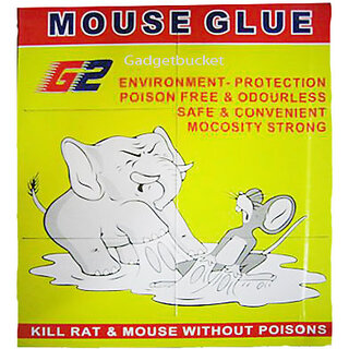 Right Traders Rat  Mouse Kill Glue Pad ( pack of 1 )