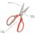 DDH Multi Function Kitchen-3 in 1 Scissors