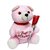 teddy with flower for loved ones