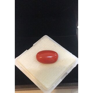 Coral Moonga 8.25 Ratti Natural Unheated Stone Jaipur Gesmtone