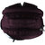 Timus  Celebrity  19 Litres   Laptop  Backpack(Wine)