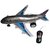 Shribossji Remote Control Aeroplane 2 Channel Radio Control Plane (Running, Not Flying) For Child, Kids  (Multicolor)