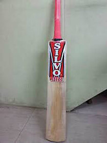 Mumbai Tattoo Silvo Cricket Bat