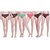 (PACK OF 5)sparkle  Cotton Hipster Ladies Printed Panty/Brief - Multi-Pattern