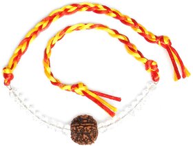 Yuvi Shoppe Rakhi for brother Rudraksha Rakhi 5 Faced large original Rudraksha religious and Rudraksh rakhi whith crysta