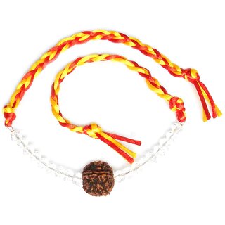 Yuvi Shoppe Rakhi for brother Rudraksha Rakhi 5 Faced large original Rudraksha religious and Rudraksh rakhi whith crysta
