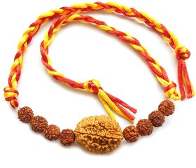Yuvi Shoppe Rakhi for brother Rudraksha Rakhi rakhee 2 Faced and 5 faced original Rudraksha bracelet religious and Rudra
