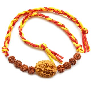 Yuvi Shoppe Rakhi for brother Rudraksha Rakhi rakhee 2 Faced and 5 faced original Rudraksha bracelet religious and Rudra