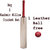 SA Sports Plain Kashmir Willow Cricket Bat With Cricket Leather Ball