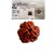 Kesar Zems 3 Mukhi (3 Face ) Natural Rudraksha X-Ray Lab Tasted.