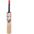 SS 281 Kashmir Willow Cricket Bat Size 5