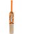 MRF Prodigy Kashmir Willow Cricket Bat Size 6
