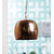 The Light Store Steel Pendant - Brown, 40 W.
