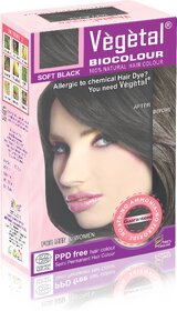 Vegetal Bio Colour Soft Black 50gm