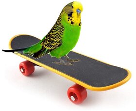 Birds Toy Skates Imported -Good movingg toy for Parrot  Birds to Play with