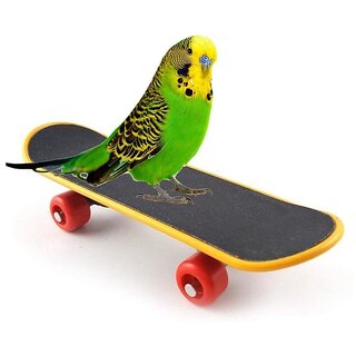 Birds Toy Skates Imported -Good movingg toy for Parrot  Birds to Play with