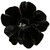 Futaba Black Velvet Petunia Seeds - 100 Pcs
