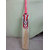 Mumbai Tattoo Silvo Cricket Bat