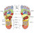 Acupressure Spring Action Massage Slippers Accu Paduka