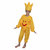 Kaku Fancy Dresses Sun Nature Costume For Kids Annual function/Theme Party/Stage Shows/Competition/Birthday Party Dress