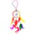 Kartik Dream Catcher Wall Hanging Handmade Beaded Circular Net Decoration Ornament Multi Color Dia 4 inch/Long 15 inch