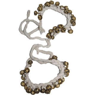 Kaku Fancy Dresses Ghungroo State Dance/Western Dance For School Annual function/Competition/Stage Shows