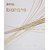 RIYA Blanche Apparel Perfume Of 100ML