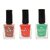 Tarnished Copper Brickola and Allure 9.9ml Each Elenblu Matte Nail Polish Set of 3 Nail Polish.