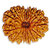 14 mukhi Rudraksha Beads, 14 mukhi Nepali Rudraksha