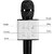 Wireless Karaoke Condenser Mic/Microphone with portable Bluetooth Speaker