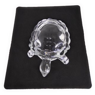 Crystal Kachhua (Small)