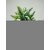 Style UR Home - Artifical Plastic Green Plants In Resin Pot