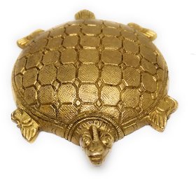 Ashtadhatu Kachhua