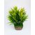 HOME DECORATING PLANT 1 PIECE
