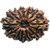 13 Mukhi Rudraksha Beads Certified Beads For Unisex By Ceylonmine