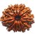 Rudraksha Beads 12 Face Original  Certified Shiv Shakti Beads Rudraksha By CEYLONMINE